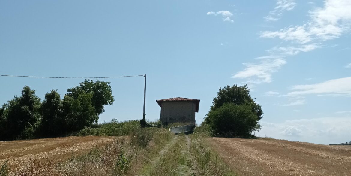 Calliano 12